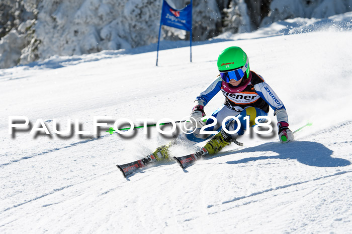 Ziener Cup WF, Finale, Quali + Parallelslalom, 24.03.2018