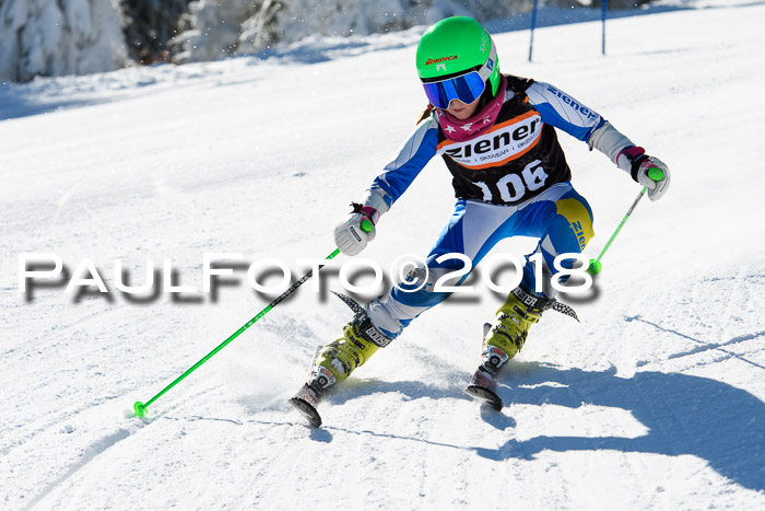 Ziener Cup WF, Finale, Quali + Parallelslalom, 24.03.2018