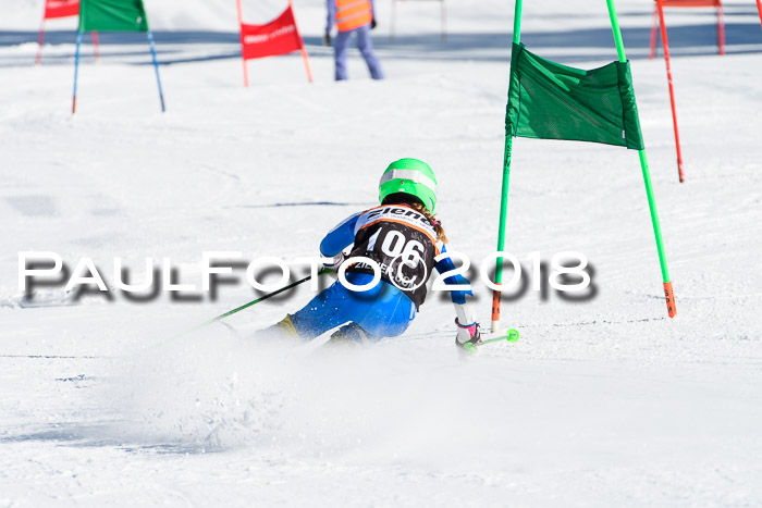 Ziener Cup WF, Finale, Quali + Parallelslalom, 24.03.2018