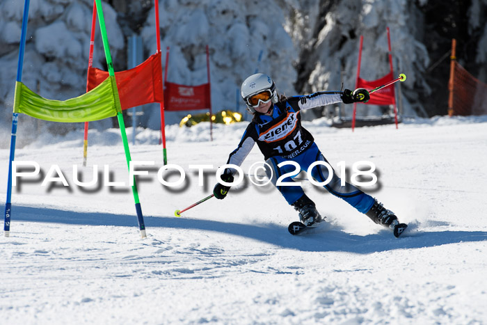 Ziener Cup WF, Finale, Quali + Parallelslalom, 24.03.2018