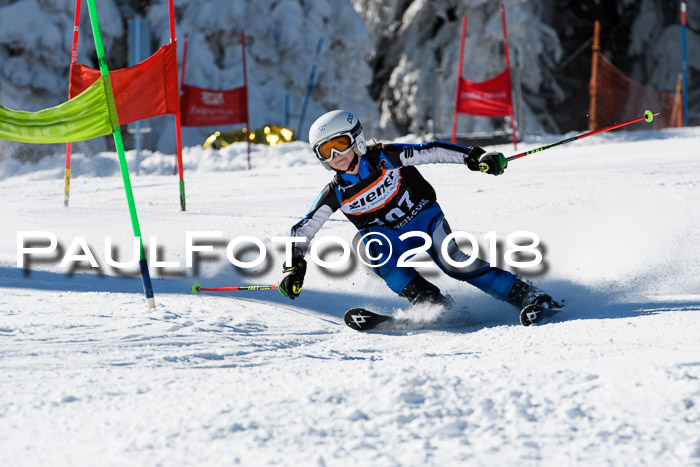 Ziener Cup WF, Finale, Quali + Parallelslalom, 24.03.2018