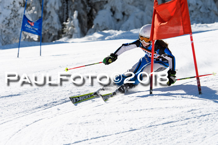 Ziener Cup WF, Finale, Quali + Parallelslalom, 24.03.2018