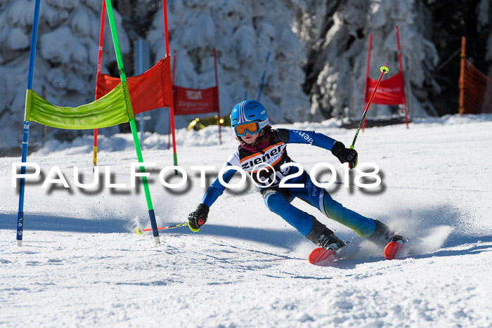 Ziener Cup WF, Finale, Quali + Parallelslalom, 24.03.2018