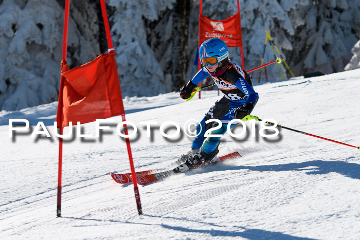 Ziener Cup WF, Finale, Quali + Parallelslalom, 24.03.2018