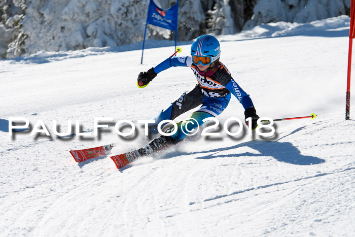 Ziener Cup WF, Finale, Quali + Parallelslalom, 24.03.2018