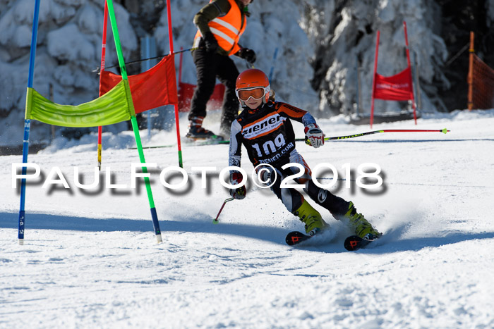 Ziener Cup WF, Finale, Quali + Parallelslalom, 24.03.2018