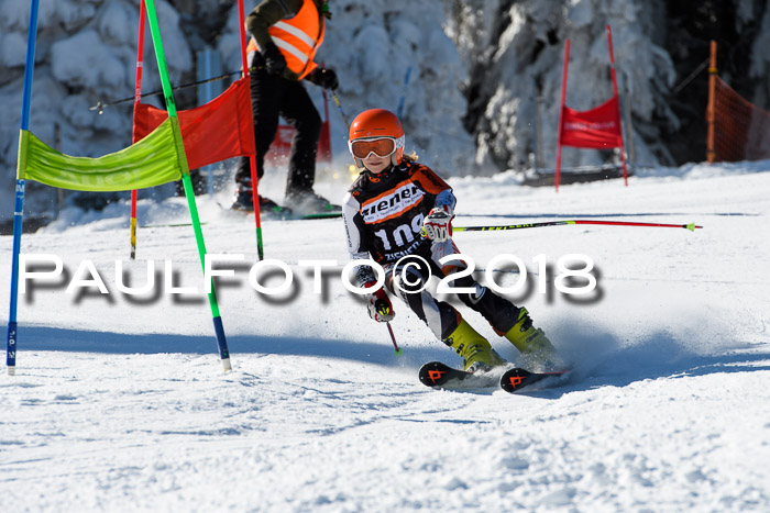 Ziener Cup WF, Finale, Quali + Parallelslalom, 24.03.2018