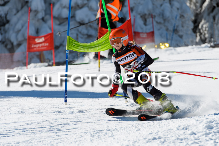 Ziener Cup WF, Finale, Quali + Parallelslalom, 24.03.2018