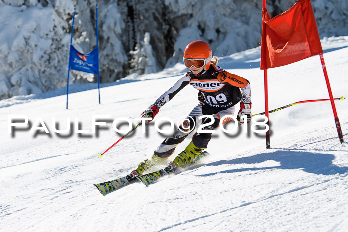 Ziener Cup WF, Finale, Quali + Parallelslalom, 24.03.2018