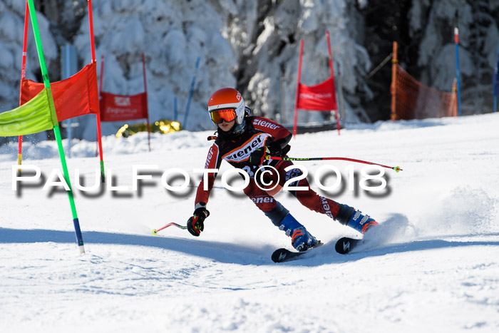 Ziener Cup WF, Finale, Quali + Parallelslalom, 24.03.2018