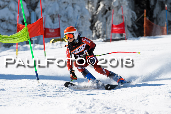 Ziener Cup WF, Finale, Quali + Parallelslalom, 24.03.2018