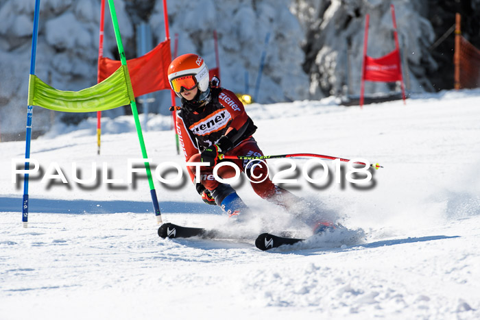 Ziener Cup WF, Finale, Quali + Parallelslalom, 24.03.2018