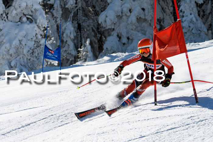 Ziener Cup WF, Finale, Quali + Parallelslalom, 24.03.2018