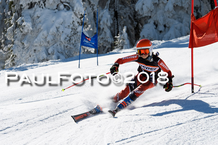 Ziener Cup WF, Finale, Quali + Parallelslalom, 24.03.2018