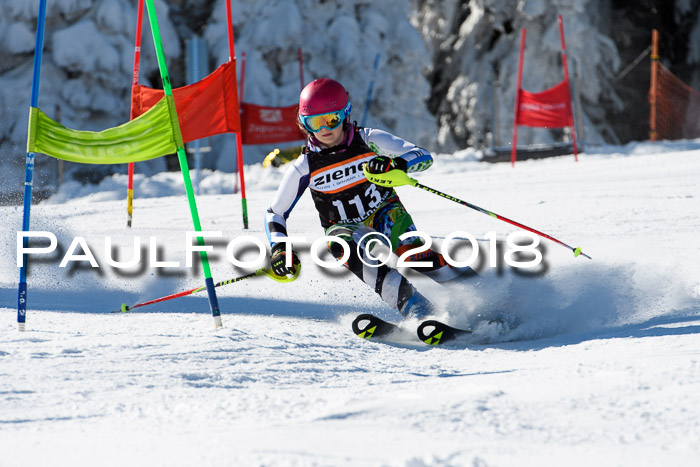 Ziener Cup WF, Finale, Quali + Parallelslalom, 24.03.2018