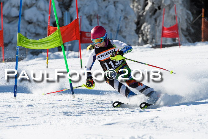 Ziener Cup WF, Finale, Quali + Parallelslalom, 24.03.2018