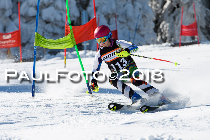 Ziener Cup WF, Finale, Quali + Parallelslalom, 24.03.2018