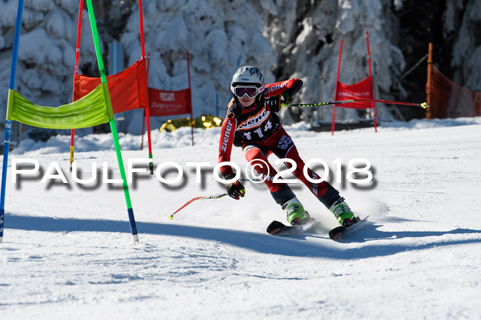 Ziener Cup WF, Finale, Quali + Parallelslalom, 24.03.2018