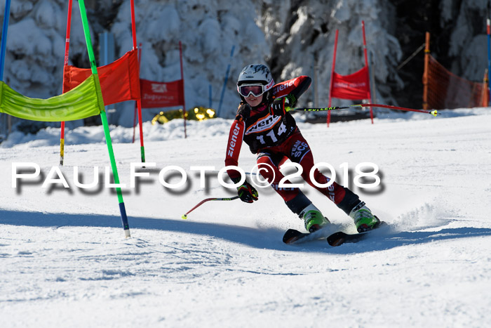 Ziener Cup WF, Finale, Quali + Parallelslalom, 24.03.2018