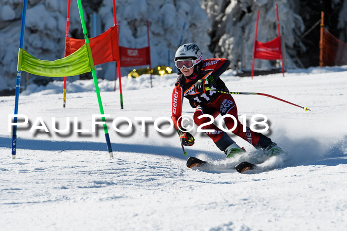 Ziener Cup WF, Finale, Quali + Parallelslalom, 24.03.2018