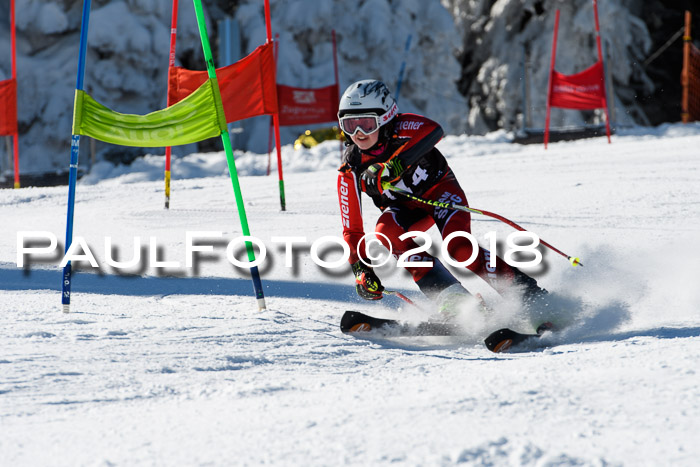 Ziener Cup WF, Finale, Quali + Parallelslalom, 24.03.2018