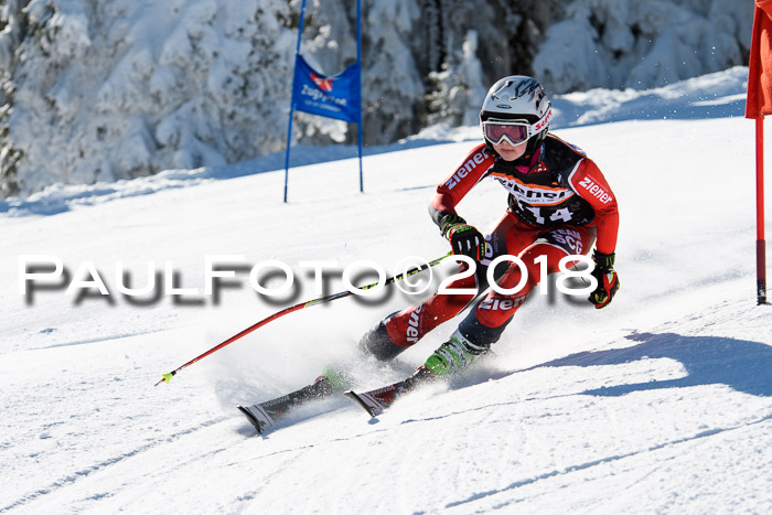 Ziener Cup WF, Finale, Quali + Parallelslalom, 24.03.2018