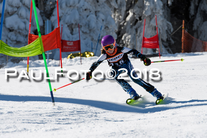 Ziener Cup WF, Finale, Quali + Parallelslalom, 24.03.2018