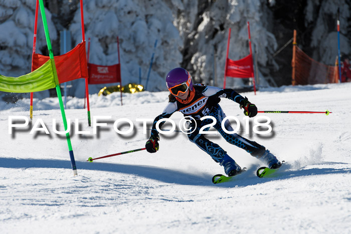 Ziener Cup WF, Finale, Quali + Parallelslalom, 24.03.2018