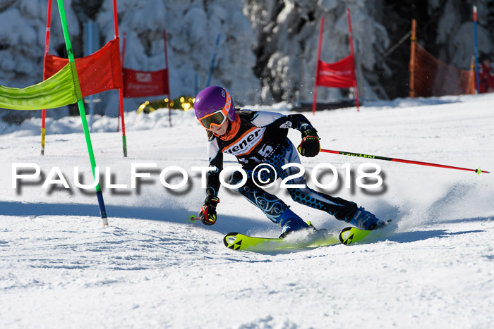 Ziener Cup WF, Finale, Quali + Parallelslalom, 24.03.2018