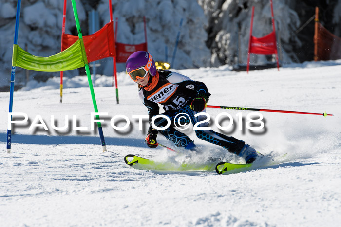 Ziener Cup WF, Finale, Quali + Parallelslalom, 24.03.2018