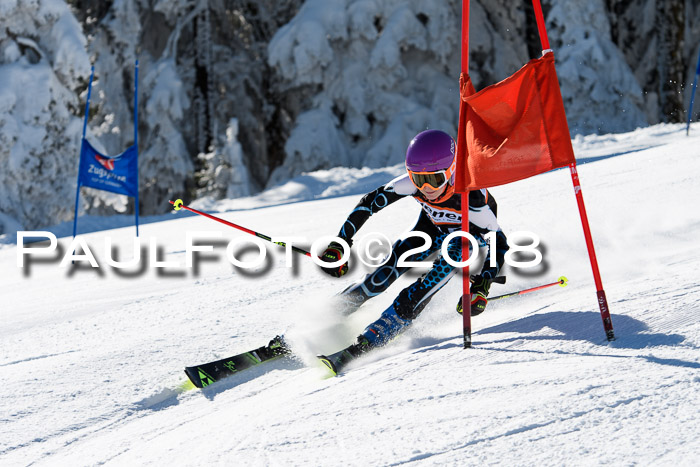 Ziener Cup WF, Finale, Quali + Parallelslalom, 24.03.2018