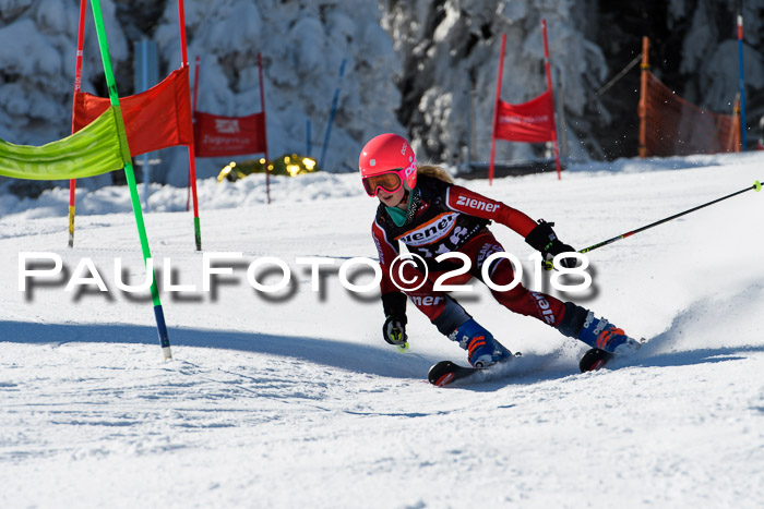 Ziener Cup WF, Finale, Quali + Parallelslalom, 24.03.2018