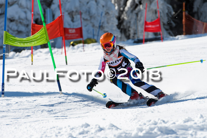 Ziener Cup WF, Finale, Quali + Parallelslalom, 24.03.2018