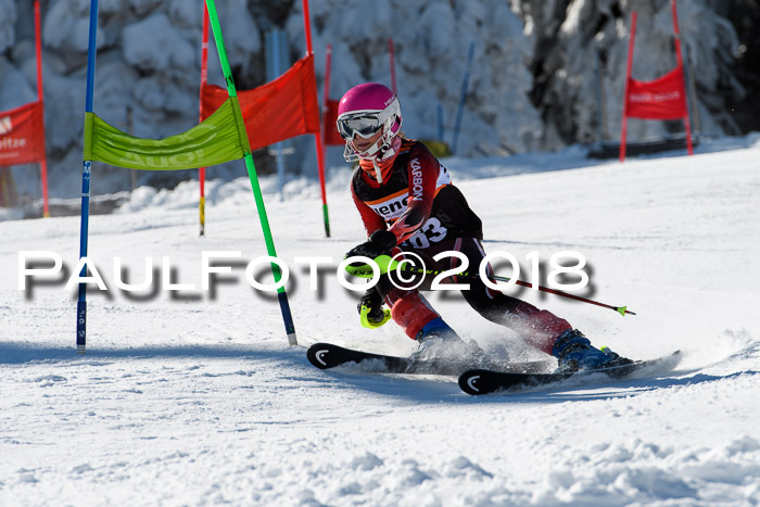 Ziener Cup WF, Finale, Quali + Parallelslalom, 24.03.2018