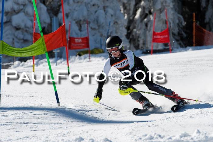 Ziener Cup WF, Finale, Quali + Parallelslalom, 24.03.2018