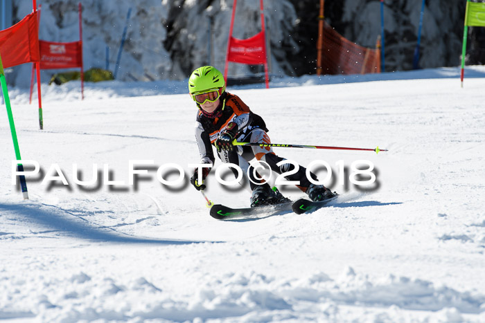 Ziener Cup WF, Finale, Quali + Parallelslalom, 24.03.2018