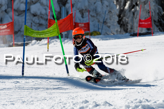 Ziener Cup WF, Finale, Quali + Parallelslalom, 24.03.2018