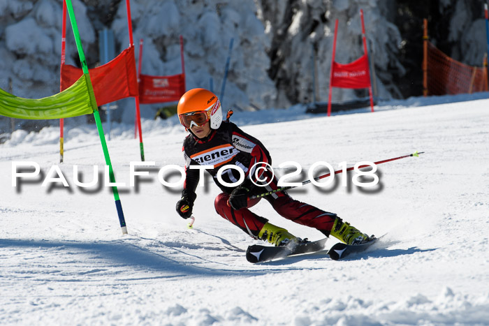 Ziener Cup WF, Finale, Quali + Parallelslalom, 24.03.2018