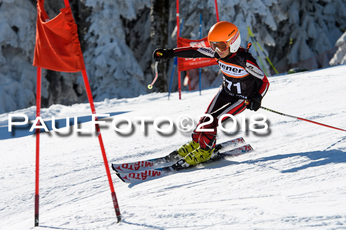 Ziener Cup WF, Finale, Quali + Parallelslalom, 24.03.2018