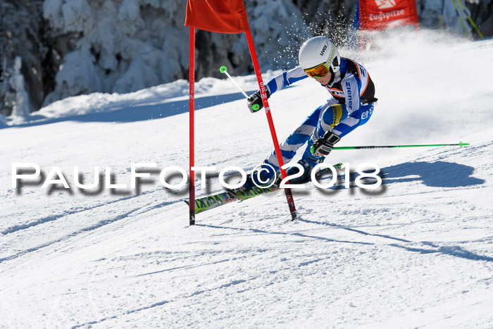 Ziener Cup WF, Finale, Quali + Parallelslalom, 24.03.2018