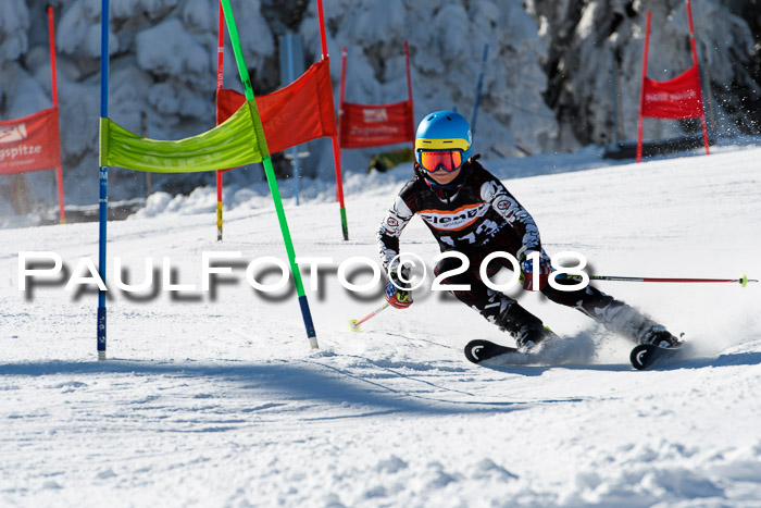 Ziener Cup WF, Finale, Quali + Parallelslalom, 24.03.2018