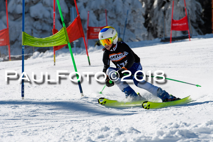 Ziener Cup WF, Finale, Quali + Parallelslalom, 24.03.2018