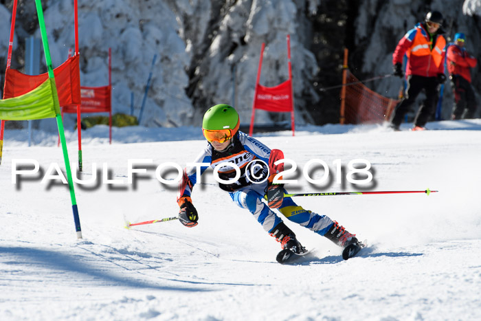 Ziener Cup WF, Finale, Quali + Parallelslalom, 24.03.2018