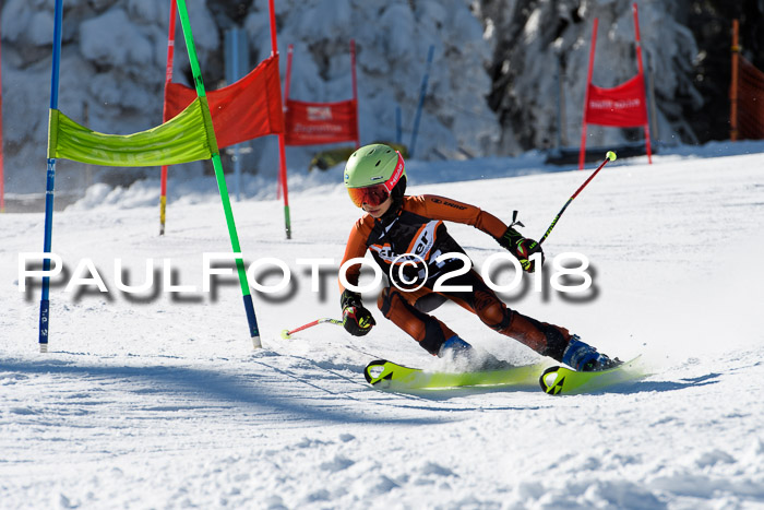 Ziener Cup WF, Finale, Quali + Parallelslalom, 24.03.2018