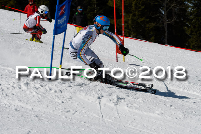 BZB Cuo Finale, Quali + Parallelslalom, 25.03.2018