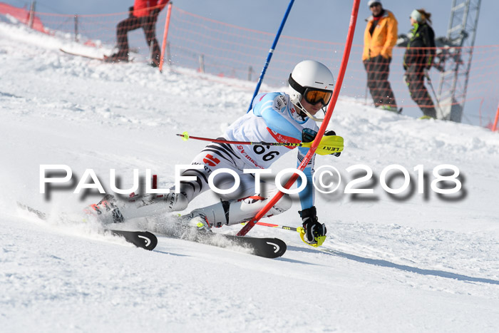 Int. Deutsche Meisterschaft Slalom Herren 25.03.2018