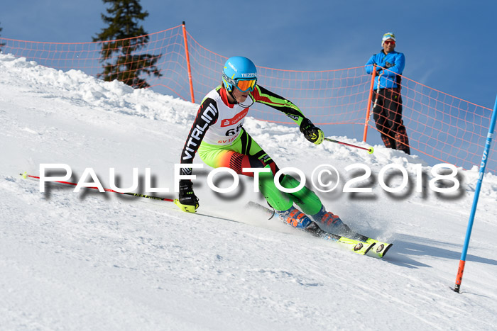 Int. Deutsche Meisterschaft Slalom Herren 25.03.2018