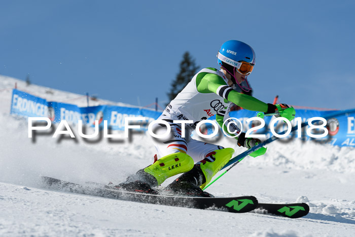 Int. Deutsche Meisterschaft Slalom Herren 25.03.2018