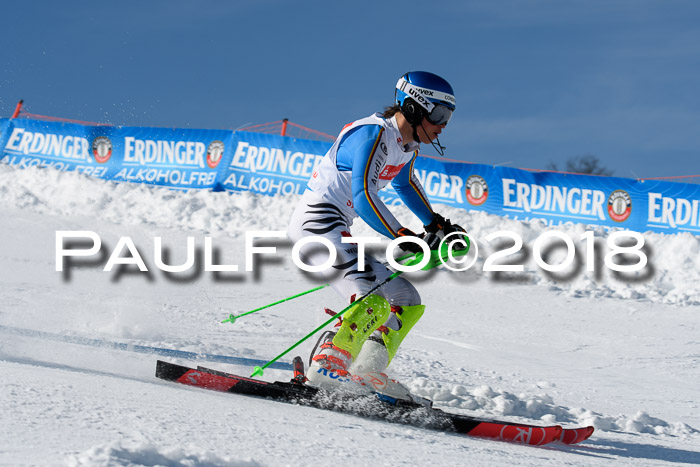 Int. Deutsche Meisterschaft Slalom Herren 25.03.2018