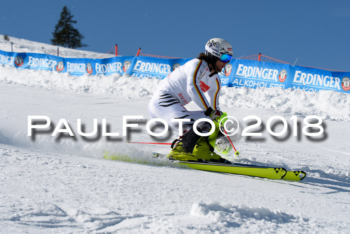 Int. Deutsche Meisterschaft Slalom Herren 25.03.2018